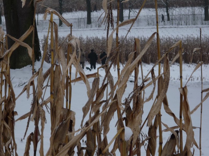 hon_konopiste (64).jpg